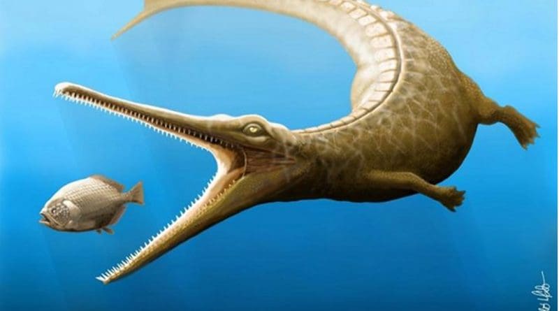 This is an artist's impression of Magyarosuchus fitosi. Credit Marton Szabo