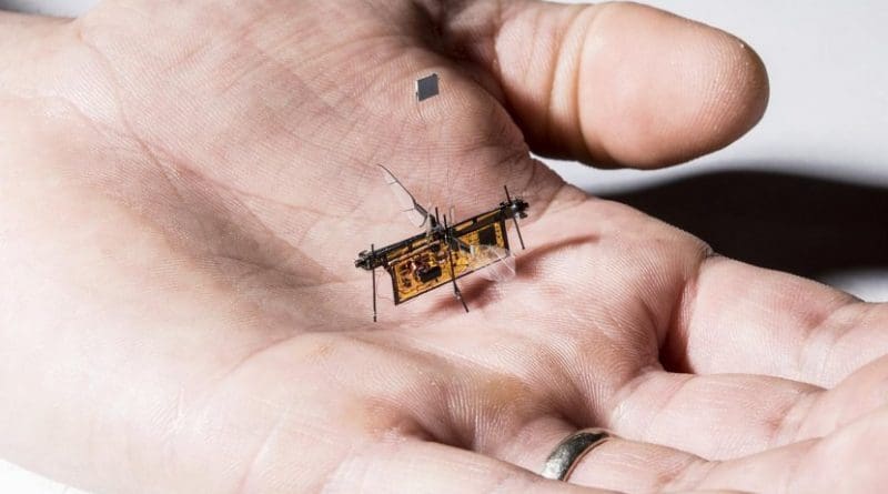 RoboFly, the first wireless insect-sized flying robot, is slightly heavier than a toothpick. Credit Mark Stone/University of Washington