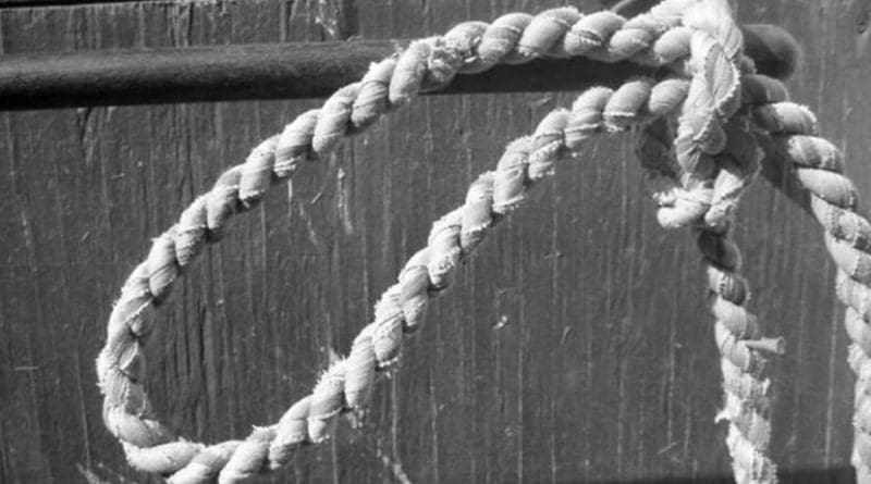 noose rope