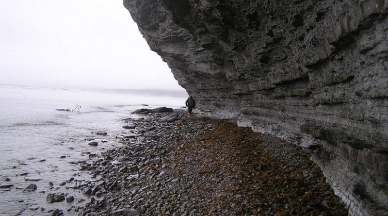 Researchers gather samples on Anticosti Island. Credit University of New Mexico