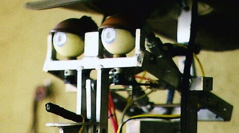 The future of robots?