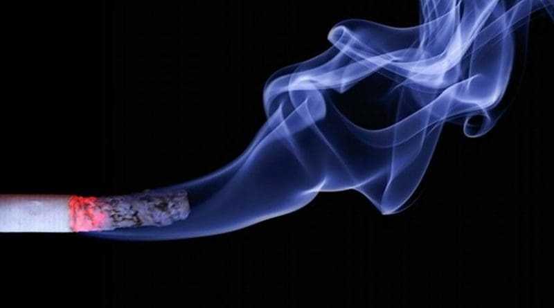 From the mid-1990s to at least 2006, a tobacco company's internal models of addiction regarded psychological, social, and environmental factors as comparable in importance to nicotine in driving cigarette use. Credit realworkhard, Pixabay