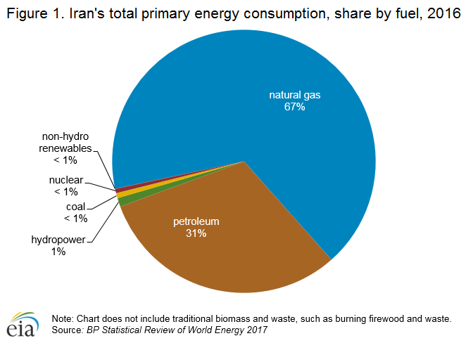 Iranian Government Flow Chart