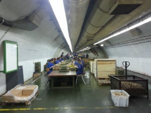Igman is Bosnia's main producer of bullets, including the various calibre of ammunition exported to Saudi Arabia, but both the factory and the Bosnian government refused to comment on whether it was the source of the shipment. Photo: Federal Ministry for energy, mining and industry. Photo Credit: Balkan Insight.