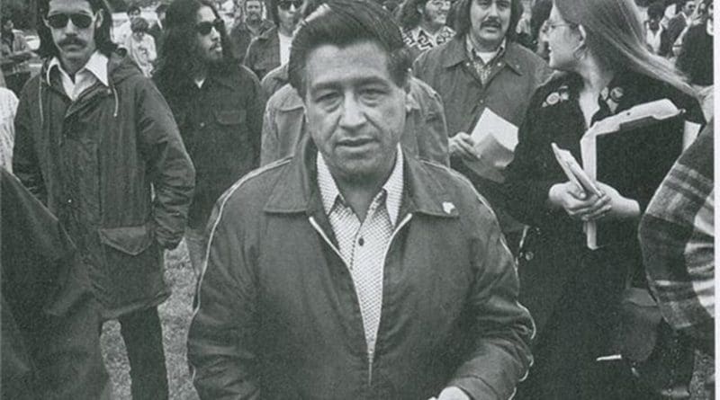 Cesar Chavez. Photo Credit: Movimiento, Wikimedia Commons.