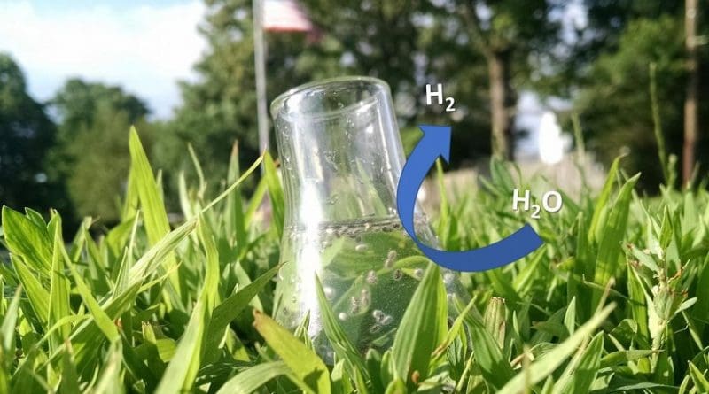 When exposed to sunlight, star-shaped gold nanoparticles coated with a semiconductor allow efficient production of hydrogen from water. Credit Ashley Pennington/Rutgers University-New Brunswick