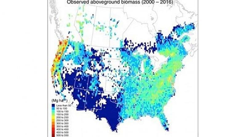 This map shows the current distribution of forests across the United States and Canada. Credit Kai Zhu