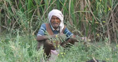 india old man elderly