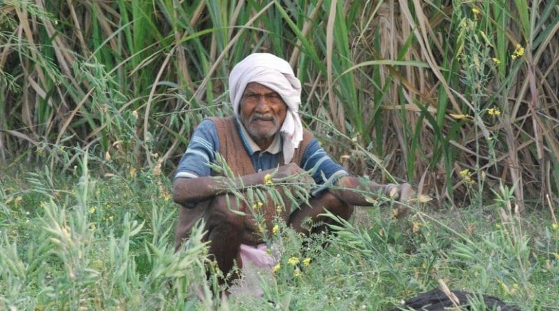 india old man elderly