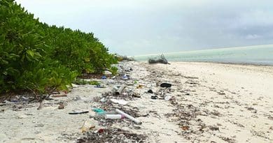 The Island Conservation Society has been actively attempting to reduce the impact of marine litter on the Alphonse Group for over 10 years. Photo Credit:Pep Nogués, Seychelles News Agency.