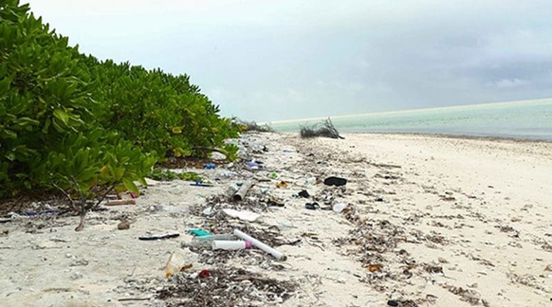 The Island Conservation Society has been actively attempting to reduce the impact of marine litter on the Alphonse Group for over 10 years. Photo Credit:Pep Nogués, Seychelles News Agency.