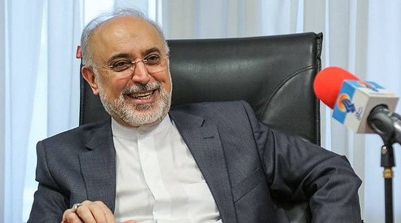 Iran's Ali Akbar Salehi. Photo Credit: Tasnim News Agency.