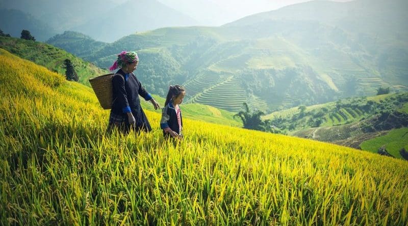 China agriculture farming