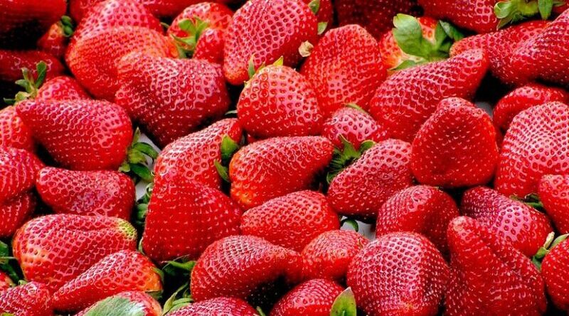 strawberry strawberries