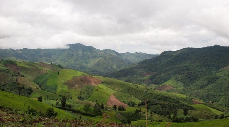 Researchers found greater than expected loss of forests in Southeast Asia. Credit the researchers