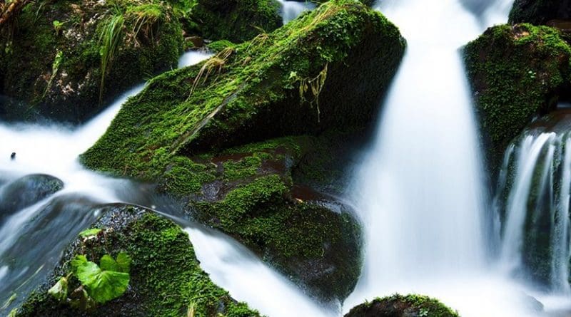 stream creek