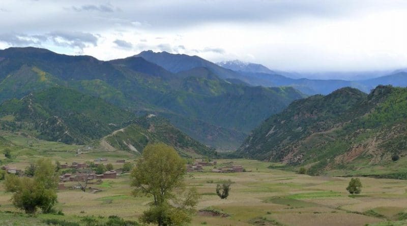 This is a fossil site in Kajun village, Markan Basin, SE Tibet (~3900 m in present elevation). Credit ©Science China Press