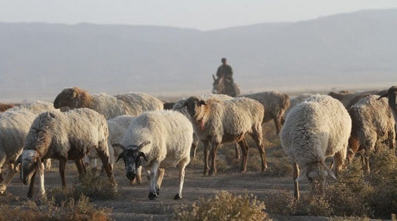 Xinjiang, China.