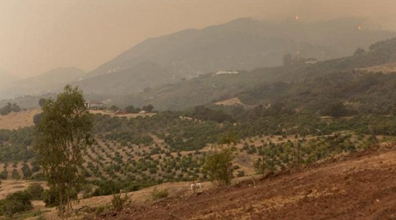 Photo shows the Thomas Fire on Los Padres National Forest near Ventura, Calif., in 2017. Credit Forest Service Photo by Kari Greer
