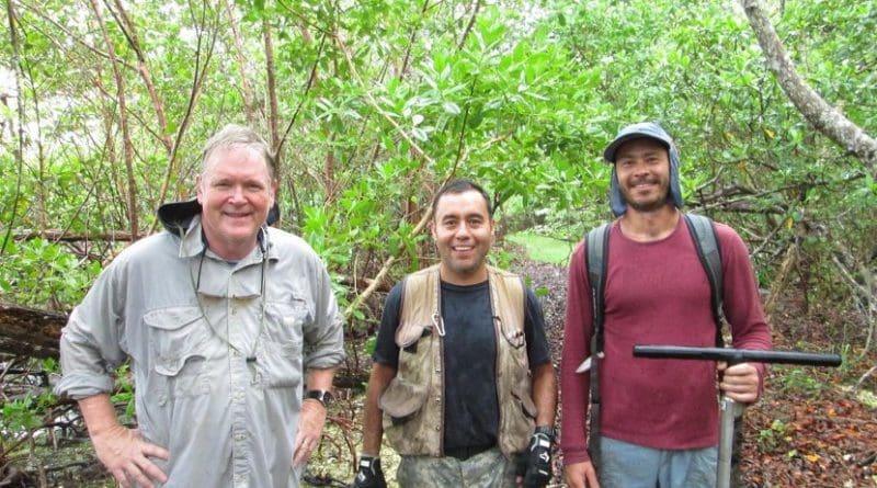 Scientists Robert Twilley, Edward Castaneda and Andre Rovai collect mangrove soil core samples on Sanibel Island, Florida for their global blue carbon study published in Nature Climate Change. Credit Andre Rovai, LSU.