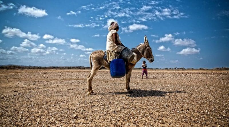 La Guajira, a department located in northeastern Colombia, on the border with Venezuela, suffered a severe drought in 2014. Credit David Taggart