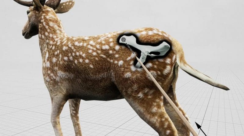 Estimated impact angle shown in relation to a standing fallow deer for the hunting lesion observed in the pelvis of an extinct fallow deer killed by Neandertals 120,000 years ago on a lakeshore close to current-day Halle in Germany Credit photo/©: Eduard Pop, MONREPOS Archaeological Research Center and Museum for Human Behavioral Evolution, Römisch-Germanisches Zentralmuseum, Leibniz Research Institute for Archaeology (RGZM