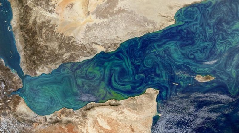 Phytoplankton blooms can sometimes be seen from space, as in this image from the Gulf of Aden, shown here in an image taken by the MODIS instrument on NASA's Aqua satellite. Credit NASA's Earth Observatory