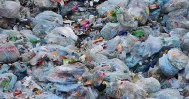 plastice garbage