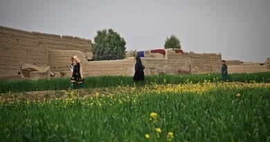 Farmland in Afghanistan.