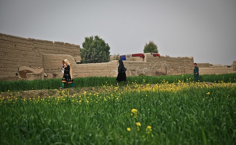 Farmland in Afghanistan.