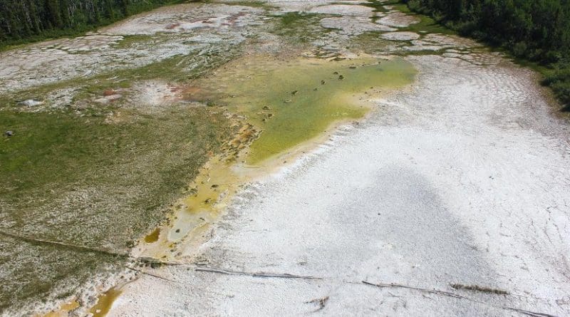 Magnesite sediments in a playa in British Columbia, Canada. Credit Ian Power