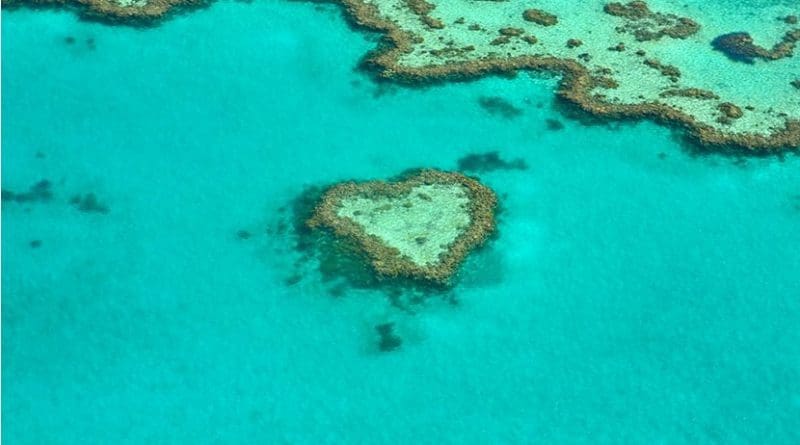 Great Barrier Reef, Australia.