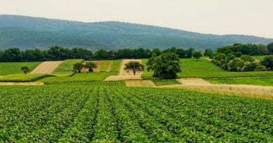 agriculture farm farming