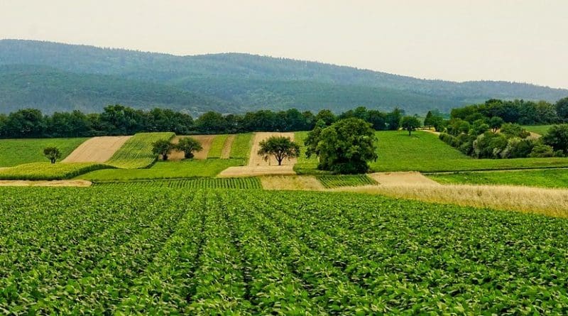 agriculture farm farming