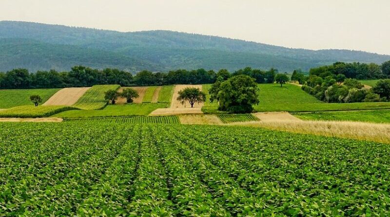 agriculture farm farming file photo