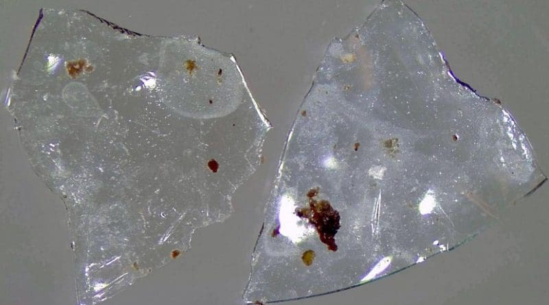 Contact lenses recovered from treated sewage sludge could harm the environment. Credit Charles Rolsky