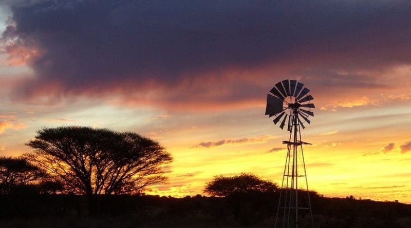 Farm in South Africa