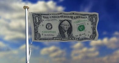 dollar flag