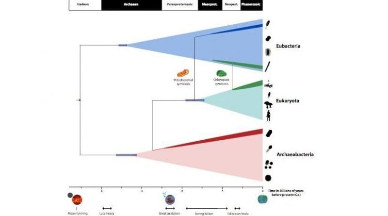 A timescale for the evolution of life on planet Earth summarising the findings of Betts et al. study. Credit University of Bristol