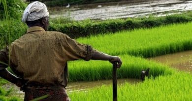 Farmer in Kerala, India.