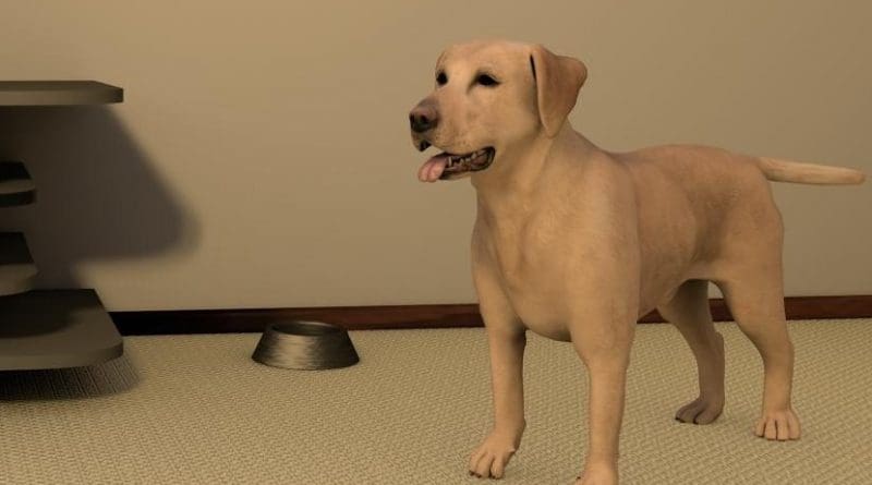 Virtual reality dog in its environment Credit Virtual Engineering Centre (VEC)