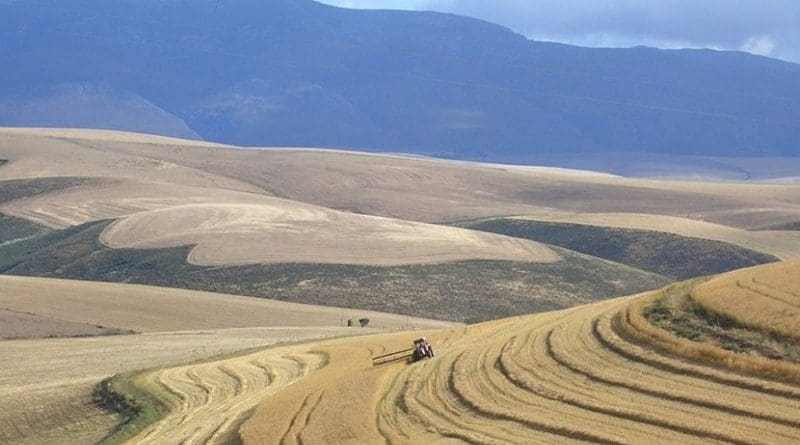 A farm in South Africa.