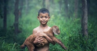 UN Climate Action Summit: Unlocking The Paris Agreement – Analysis Boy with goat in Thailand.