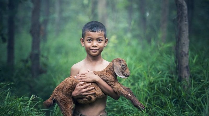 Boy with goat in Thailand.