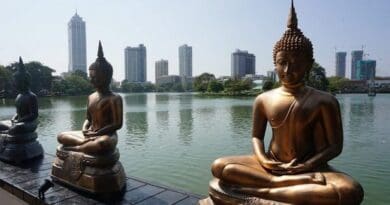 Buddha statues in Colombo, Sri Lanka.