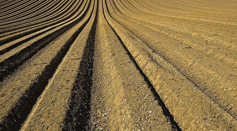farm soil