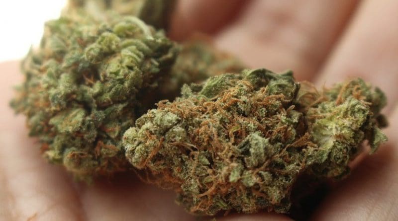 marijuana