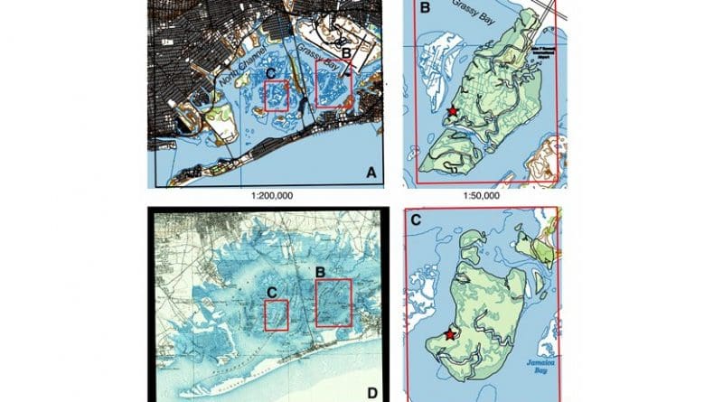 Maps of the Jamaica Bay study areas. B and C show the extent of two regions--the Jo Co and Yellow Bar marshes, respectively--in 1897 (green overlay) versus 2016 (white). Credit Peteet et al.