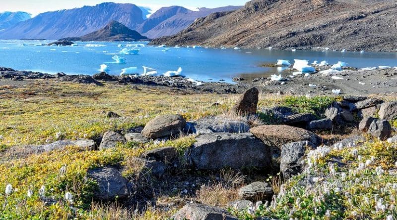 he height of tundra plant communities has increased over the last 30 years. Credit Anne Bjorkman