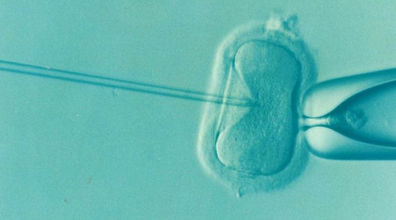 ivf reproduction assisted